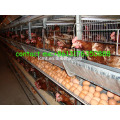 Verkauf von 2m langen hochwertigen Hühnerkäfig